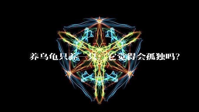养乌龟只养一只，它觉得会孤独吗？