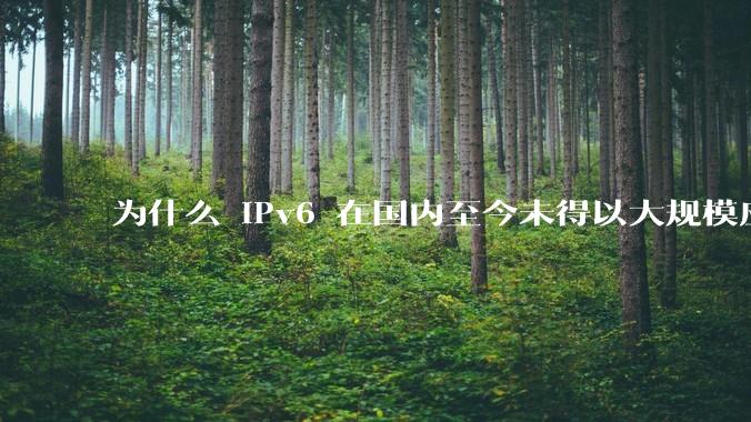 为什么 IPv6 在国内至今未得以大规模应用?