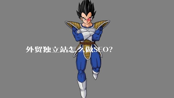 外贸独立站怎么做SEO？