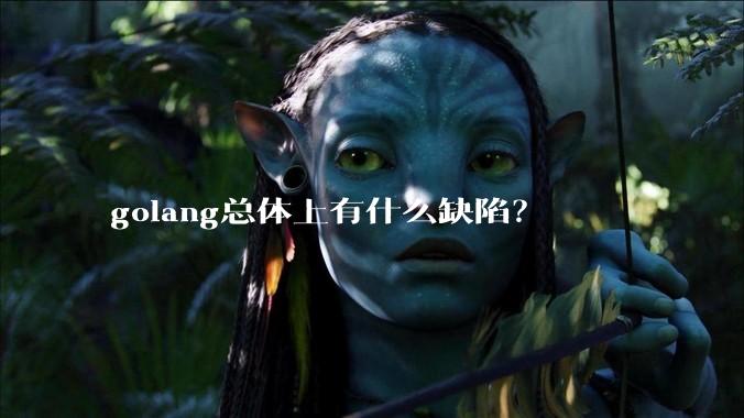 golang总体上有什么缺陷？